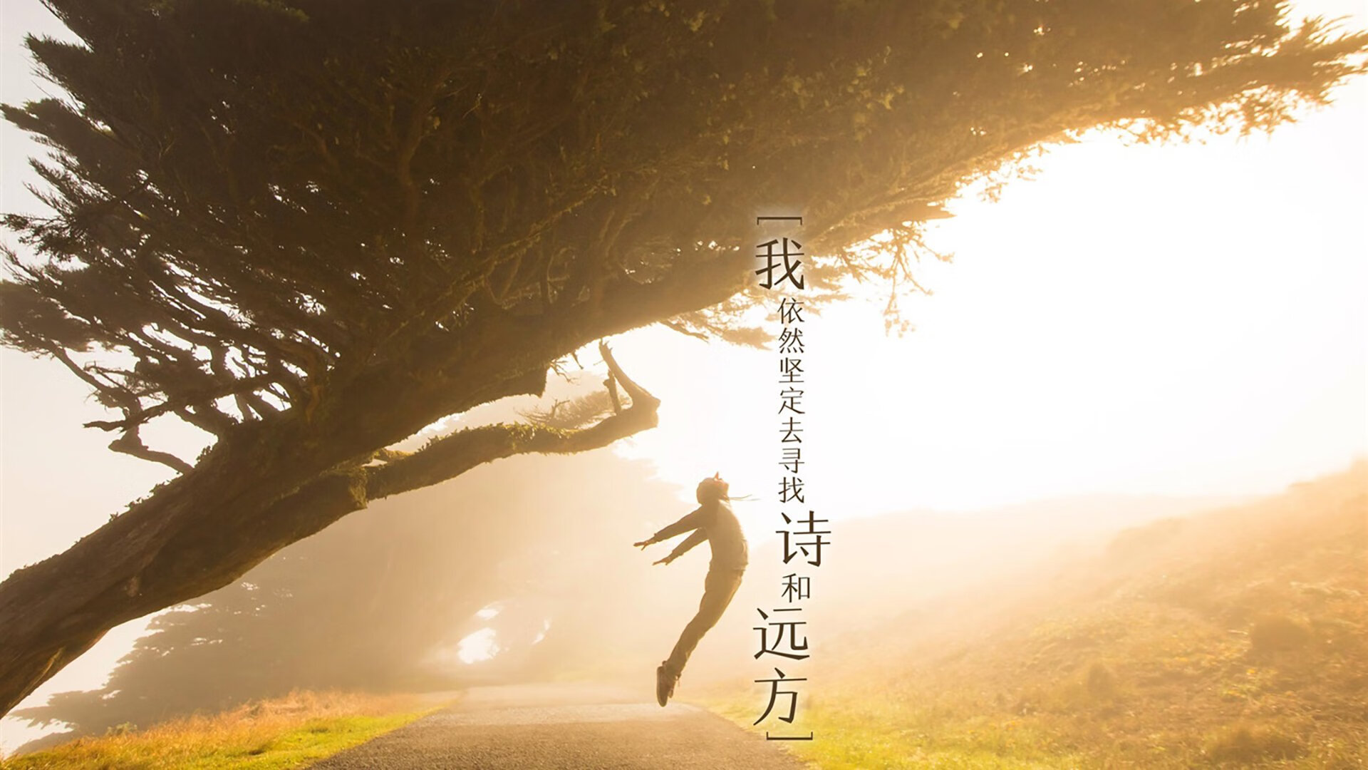 CBA下赛季最佳阵容预测，cba下赛季最佳阵容预测最新